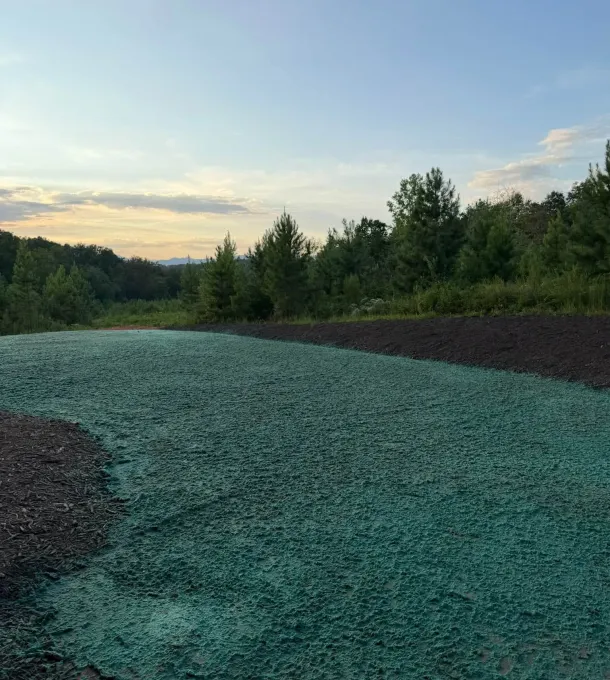 Hydroseeded green slope after grading