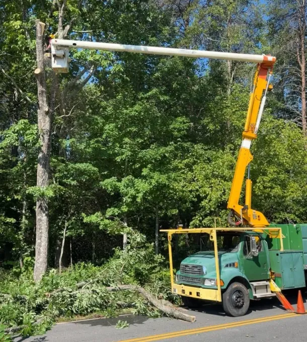 H&L bucket truck at the roadside during a tree removal