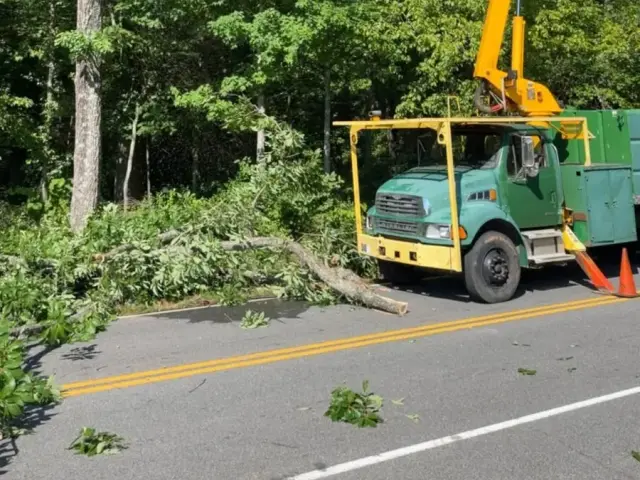 Tree crew bucket truck working beside the road