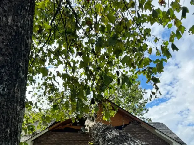 Large tree down on a brick house after a storm