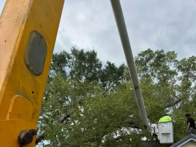 Crew with a crane and bucket truck removing a tree from a roof
