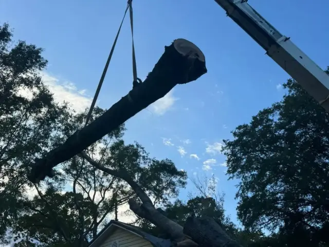 Crane lifting a large log away from a house during storm cleanup