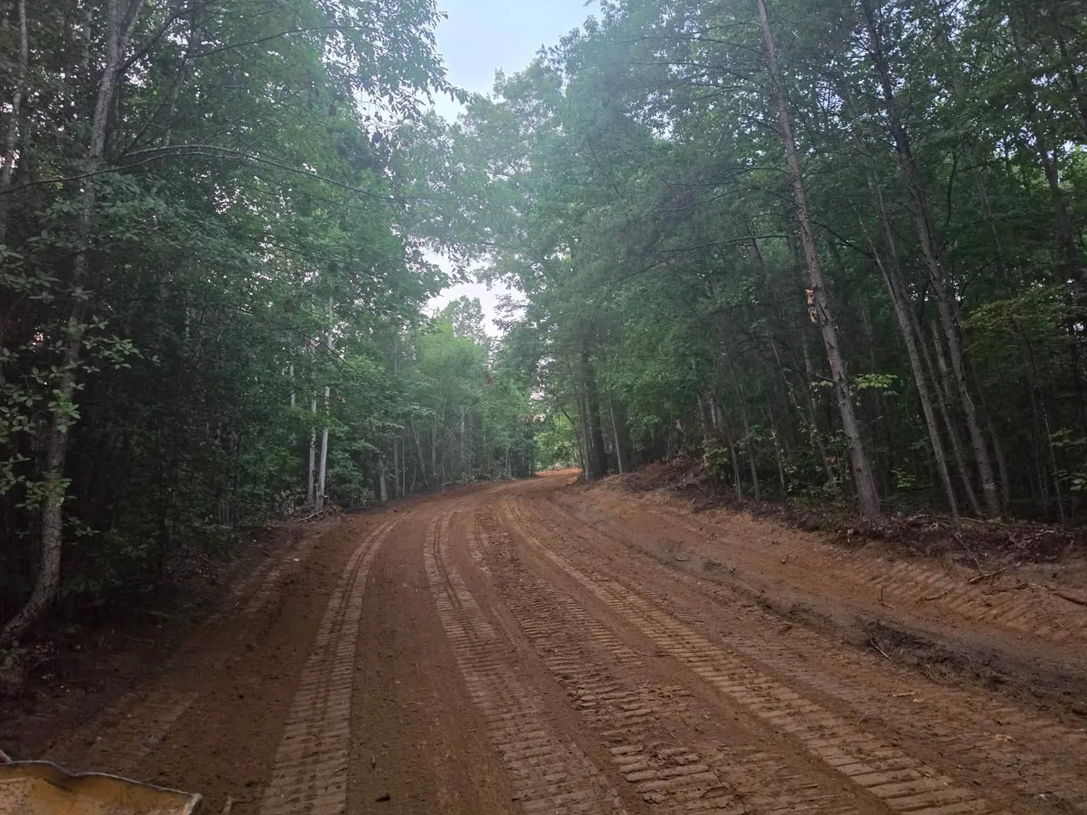 Newly graded red-clay road through the woods by H&L