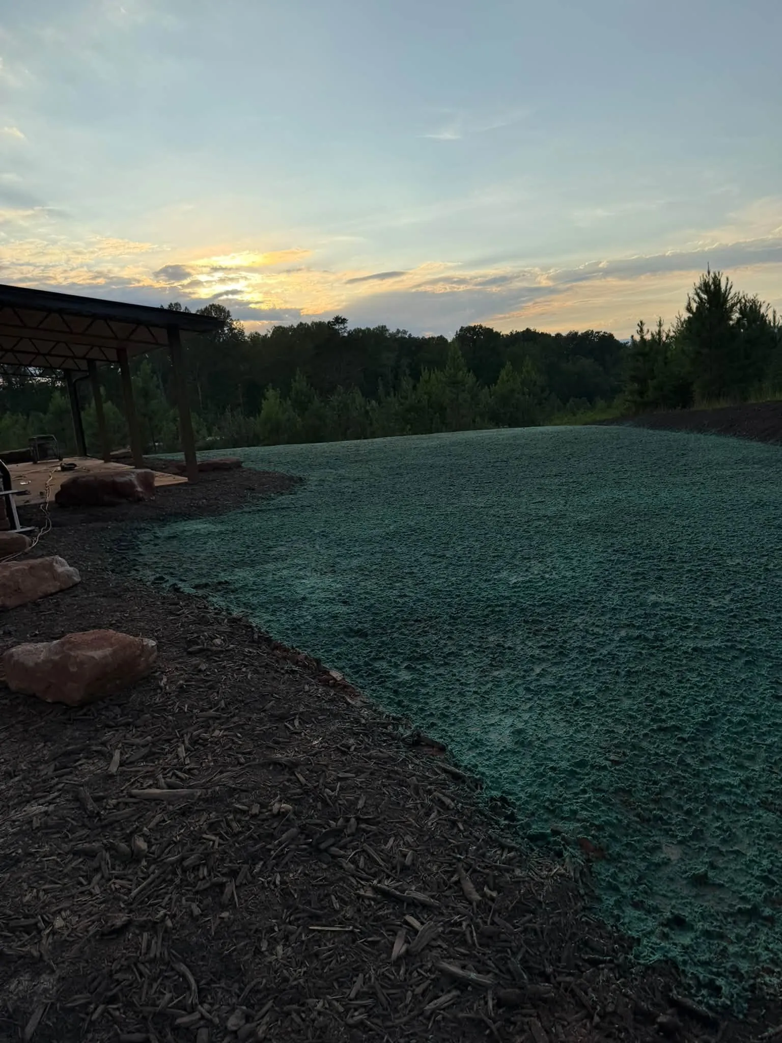 Freshly hydroseeded bank at sunset beside a covered structure