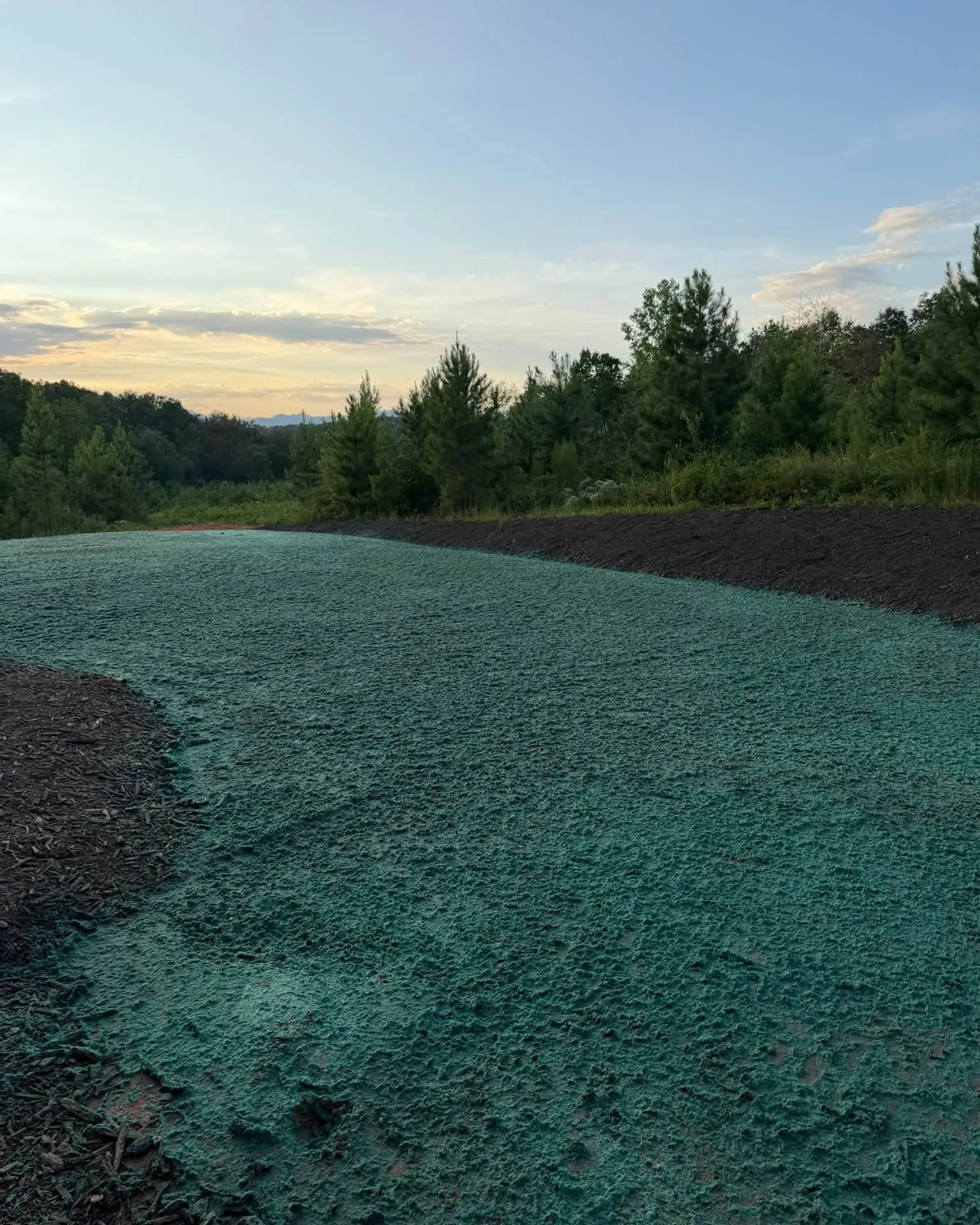 Hydroseeded green slope after grading