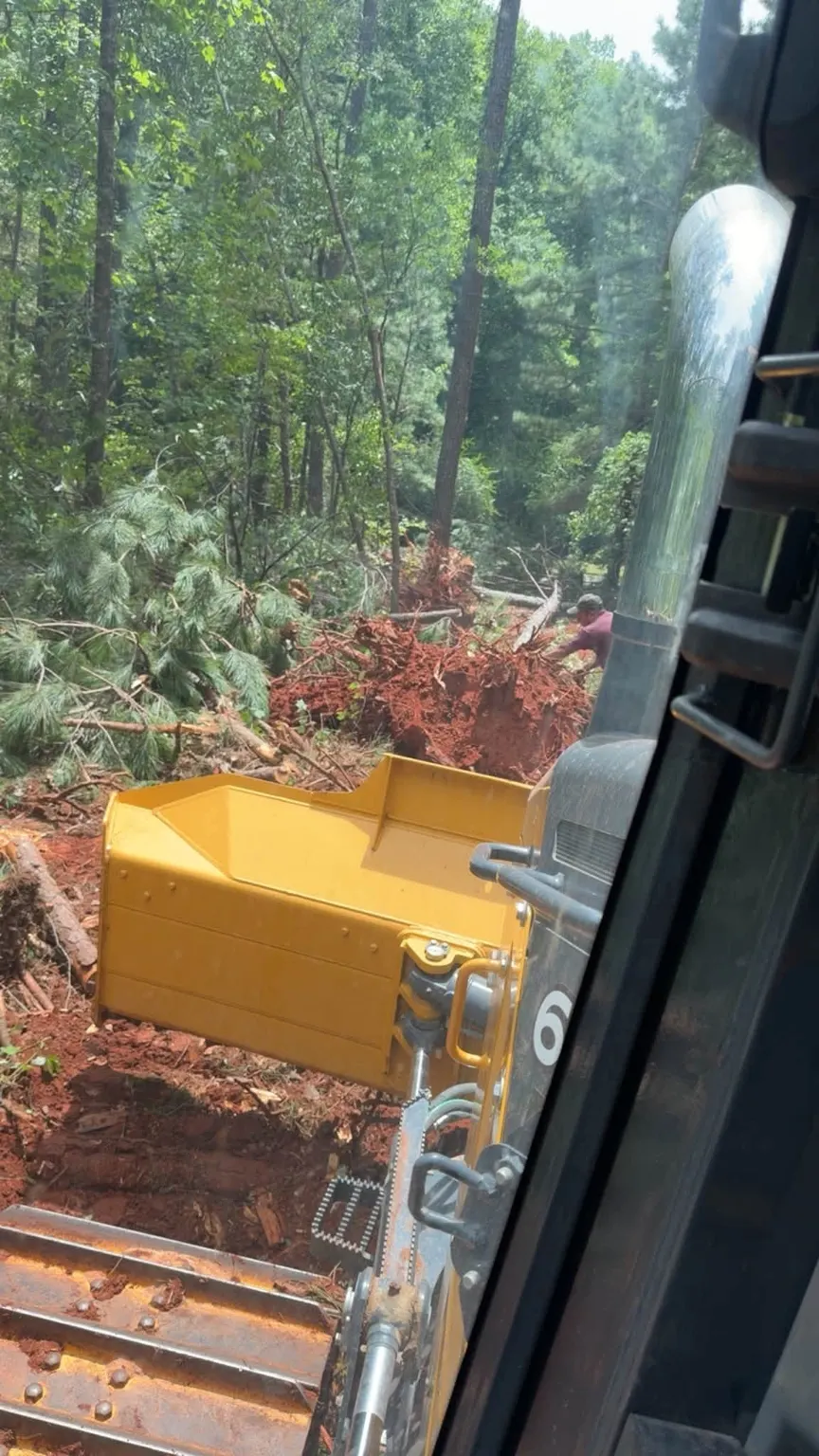 Dozer pushing cleared brush and pine limbs on a lot