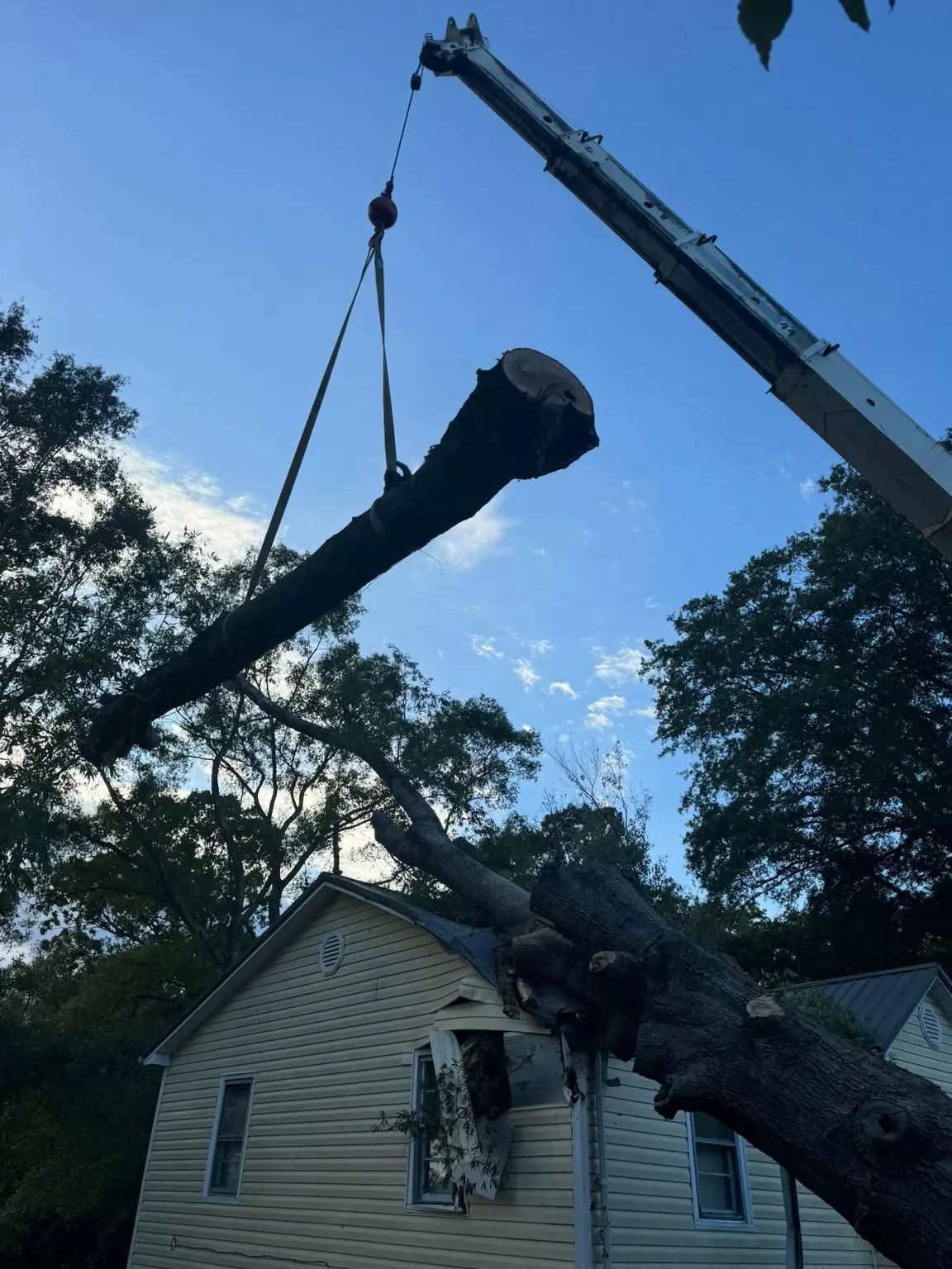 Crane lifting a large log away from a house during storm cleanup