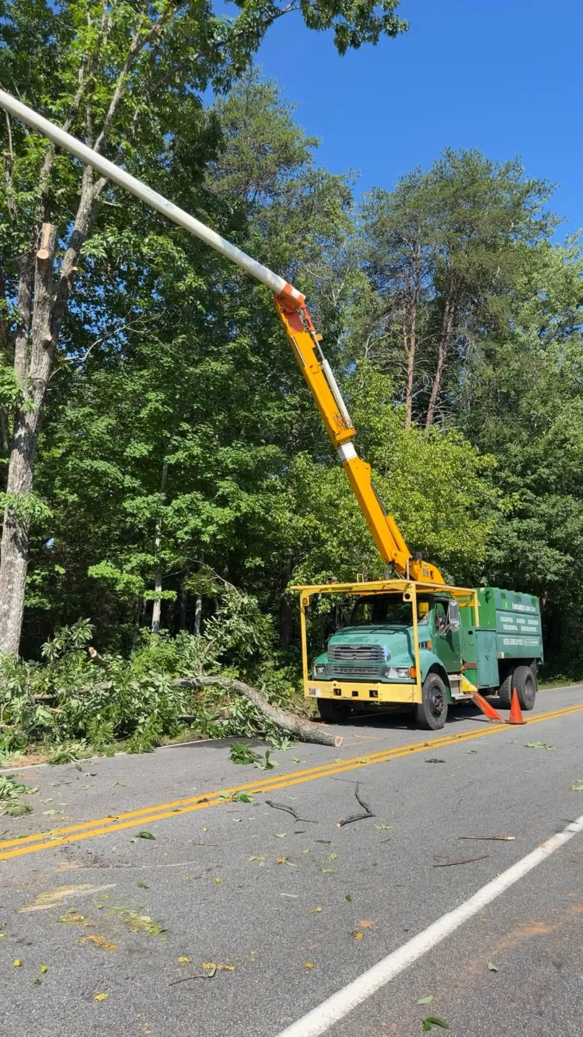Tree crew removing trees from a roadside with a bucket truck