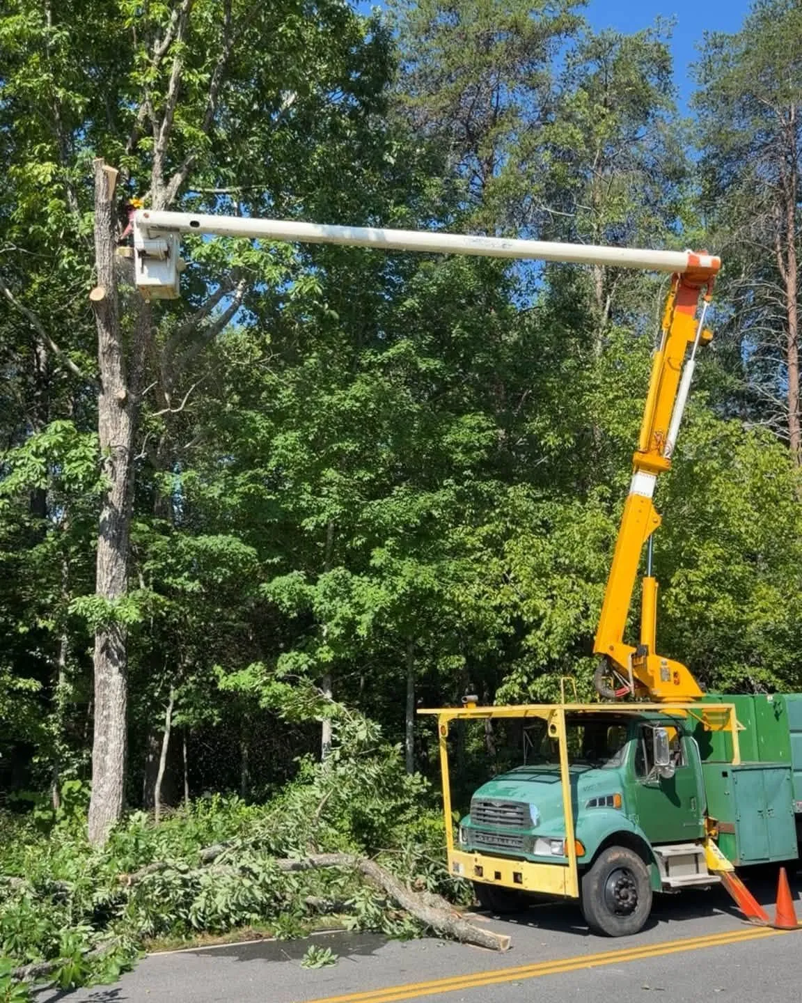 H&L bucket truck at the roadside during a tree removal